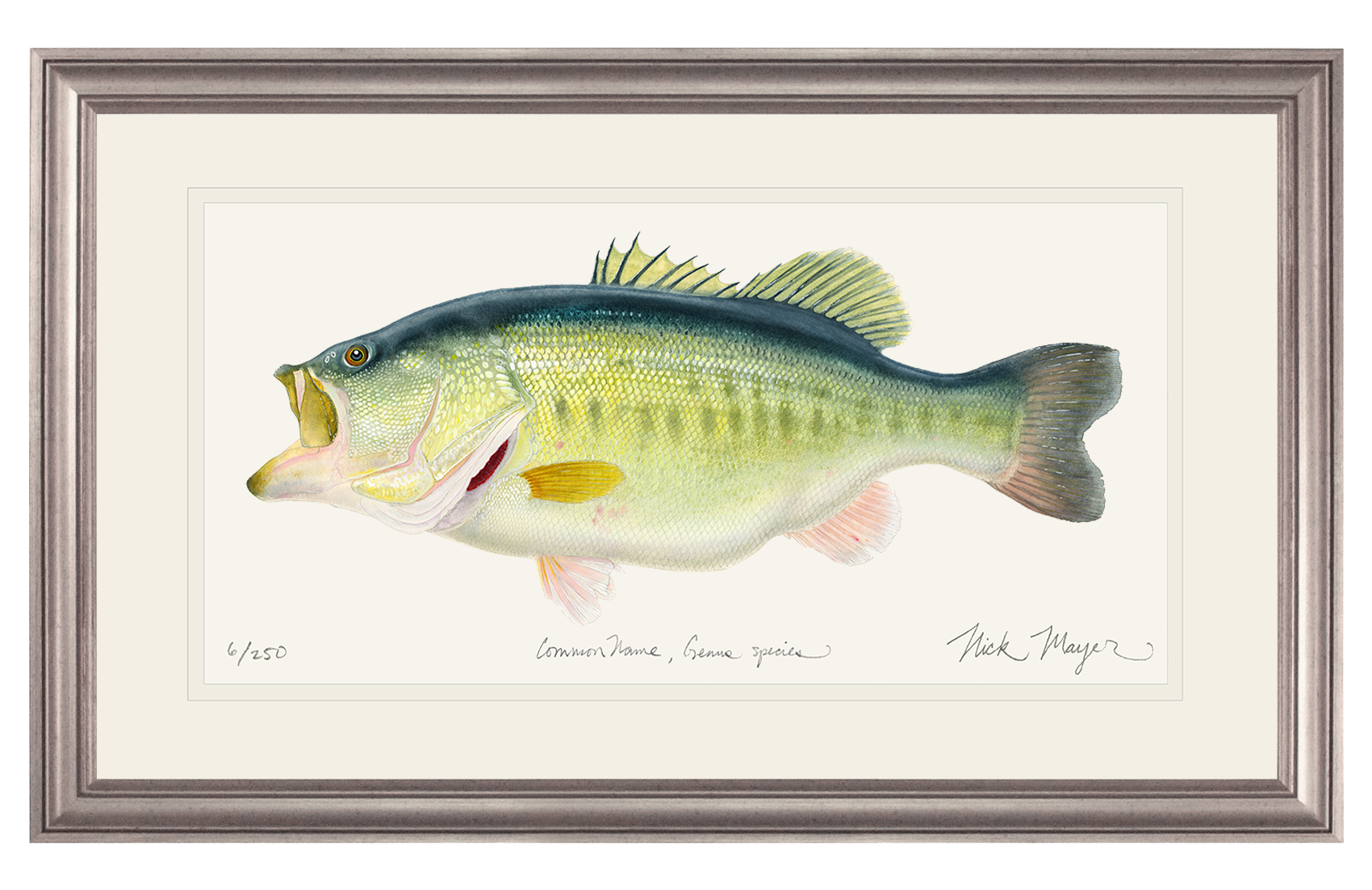 NEWEST PRINT: Largemouth Bass III, 10 lb Sharelunker Limited Edition Print