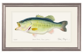 NEWEST PRINT: Largemouth Bass III, 10 lb Sharelunker Print