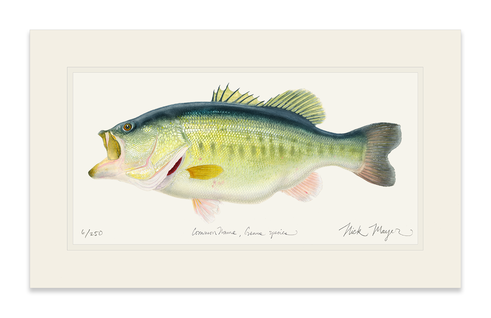 NEWEST PRINT: Largemouth Bass III, 10 lb Sharelunker Limited Edition Print