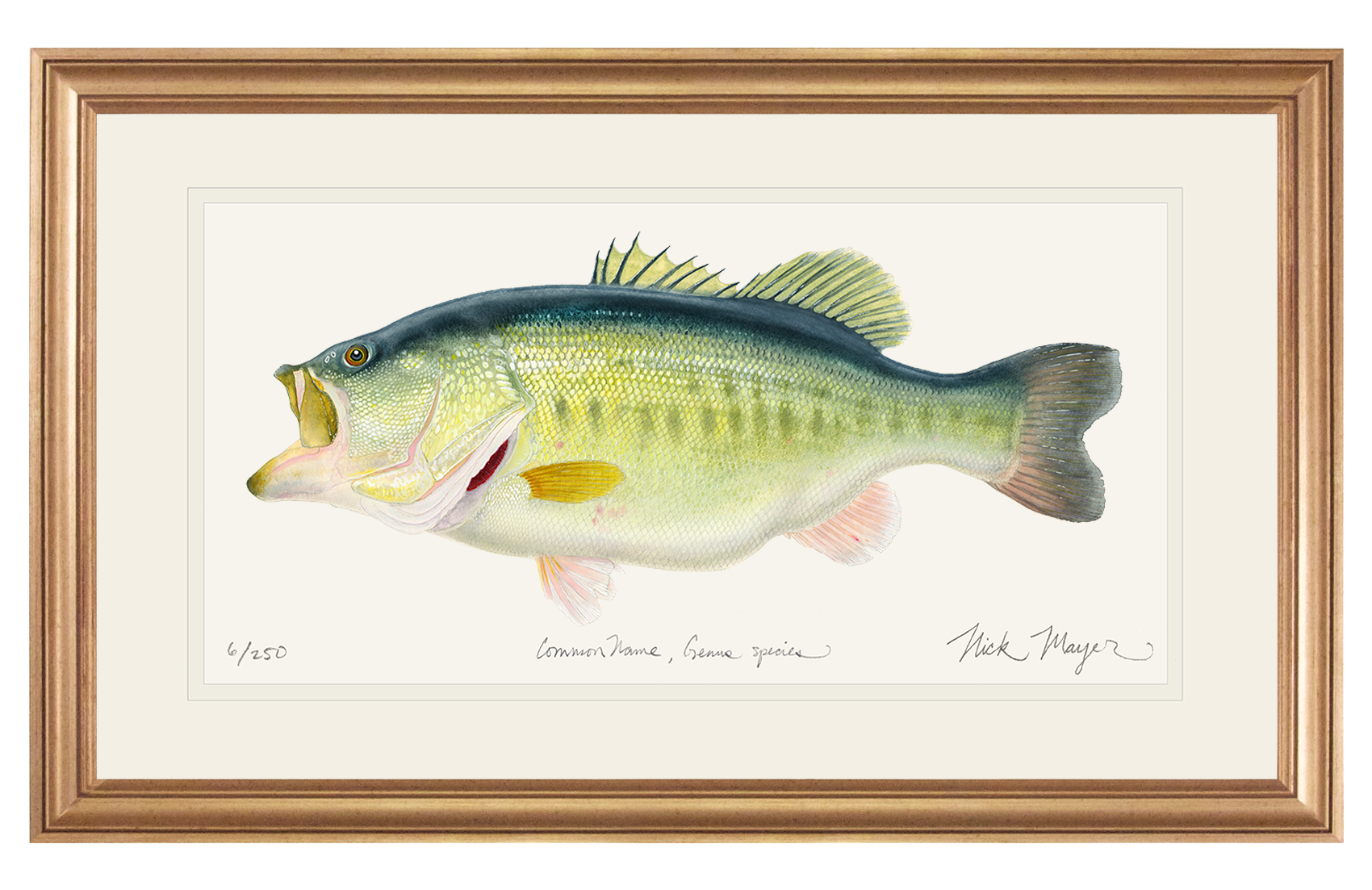 NEWEST PRINT: Largemouth Bass III, 10 lb Sharelunker Limited Edition Print