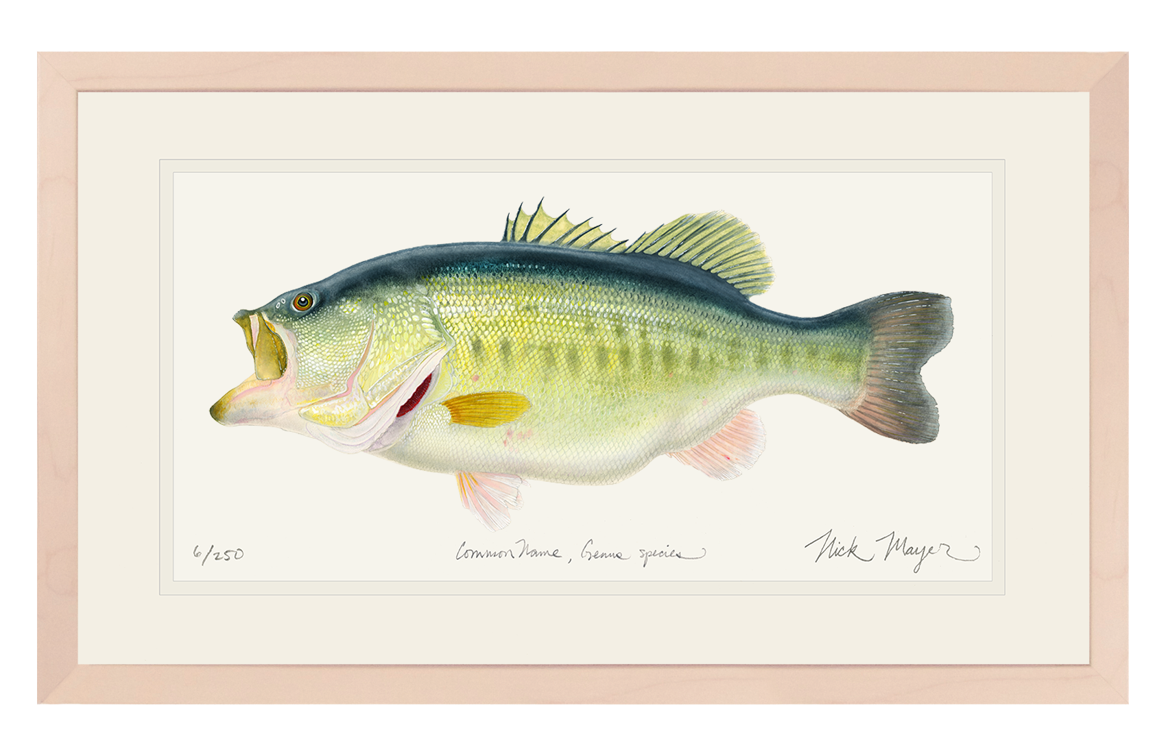 NEWEST PRINT: Largemouth Bass III, 10 lb Sharelunker Print