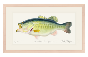 NEWEST PRINT: Largemouth Bass III, 10 lb Sharelunker Print