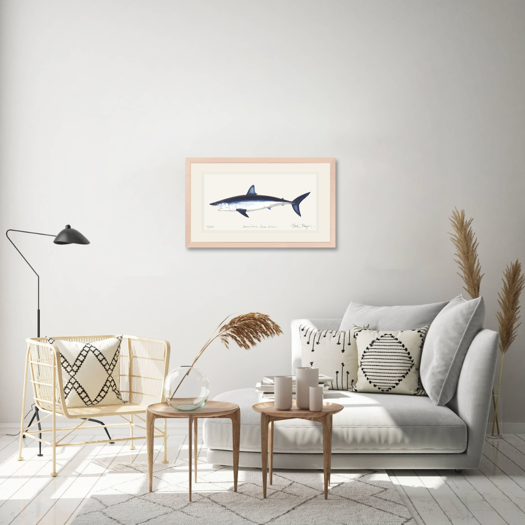 Mako Shark Limited Edition Print