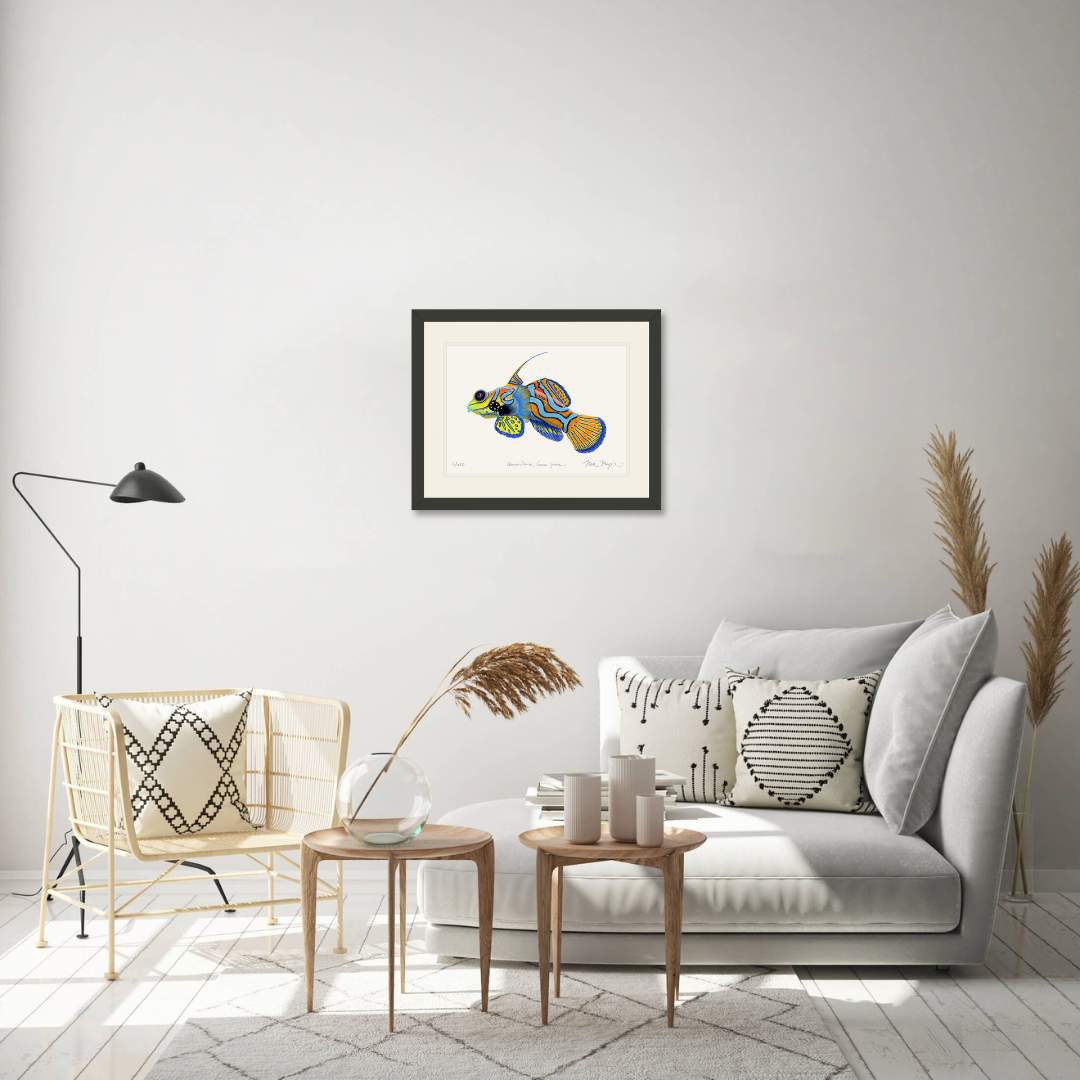 Mandarinfish Limited Edition Print