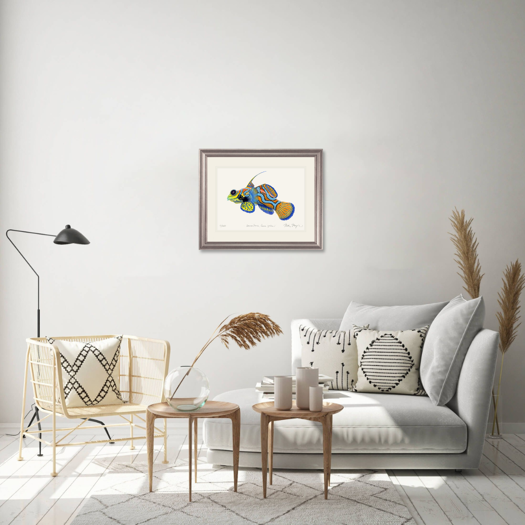 Mandarinfish Limited Edition Print