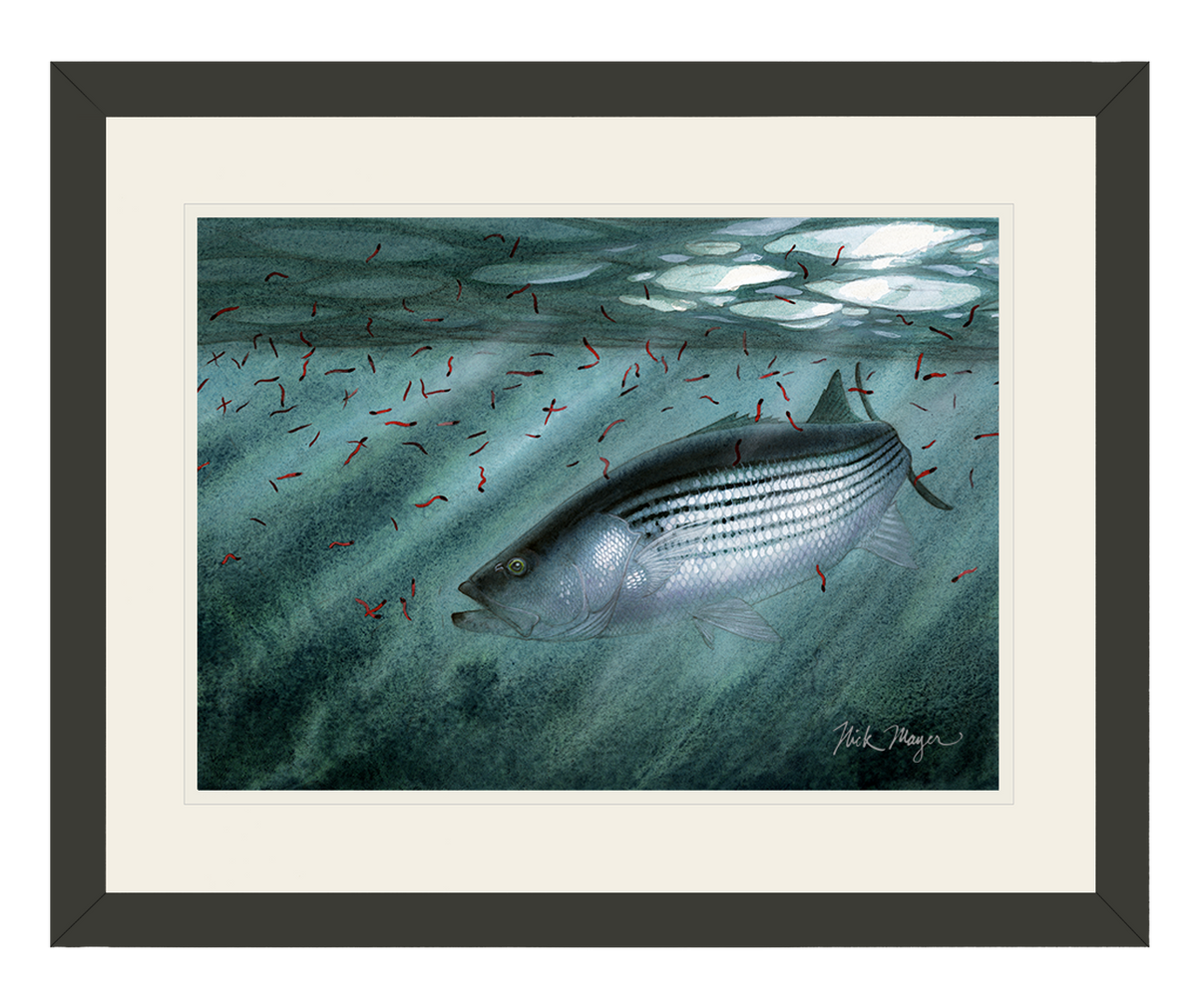 Moonlit Striper Print