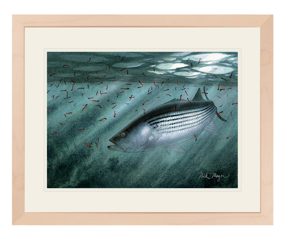 Moonlit Striper Print