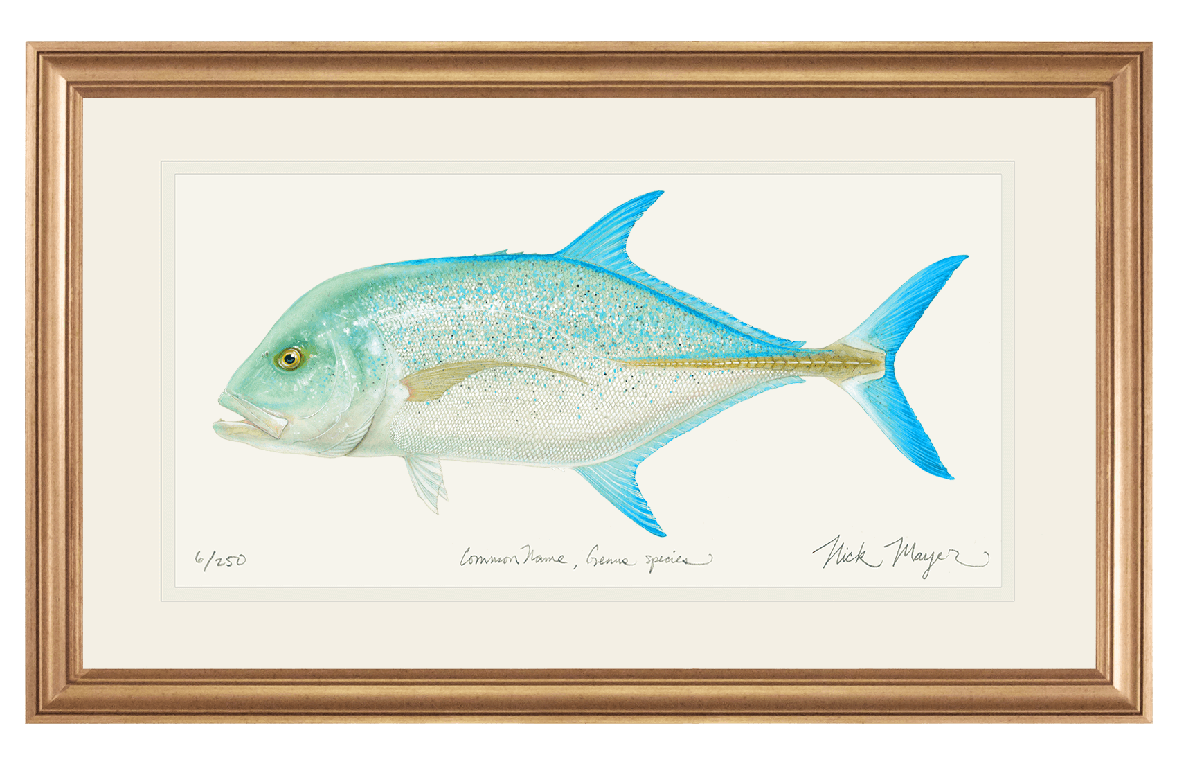 Bluefin Trevally Print