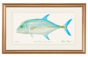 Bluefin Trevally Print