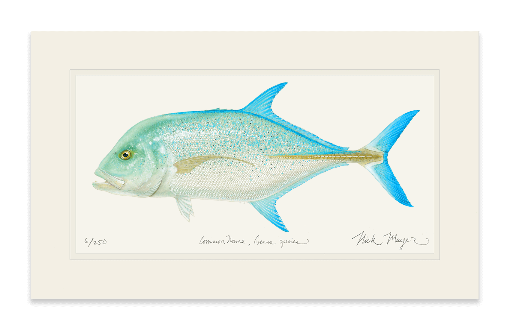 Bluefin Trevally Limited Edition Print