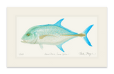 Bluefin Trevally Print