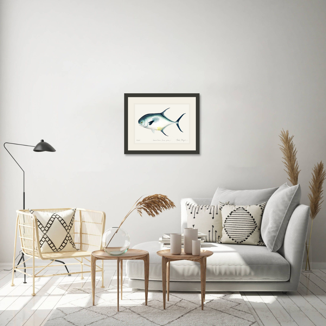 Atlantic Permit Limited Edition Print