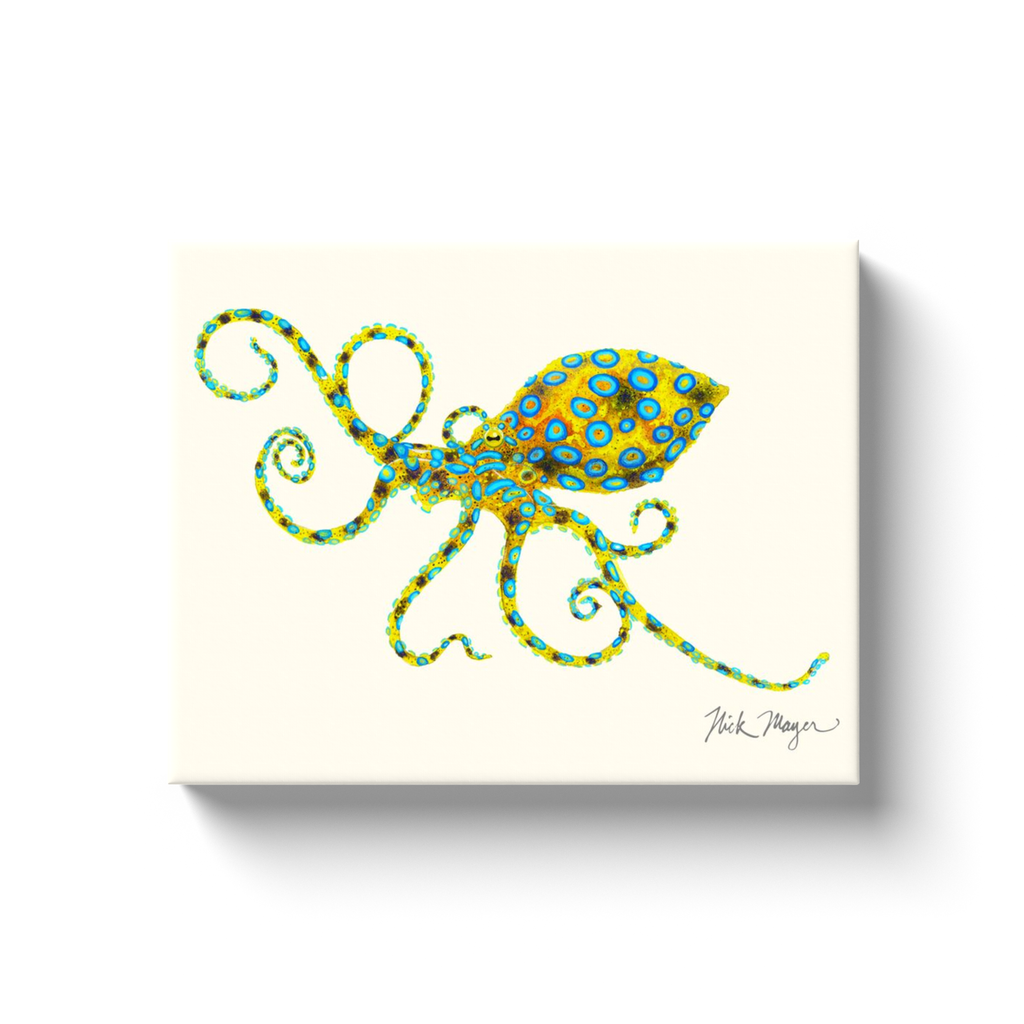 NEW! Blue Ringed Octopus Canvas Wrap