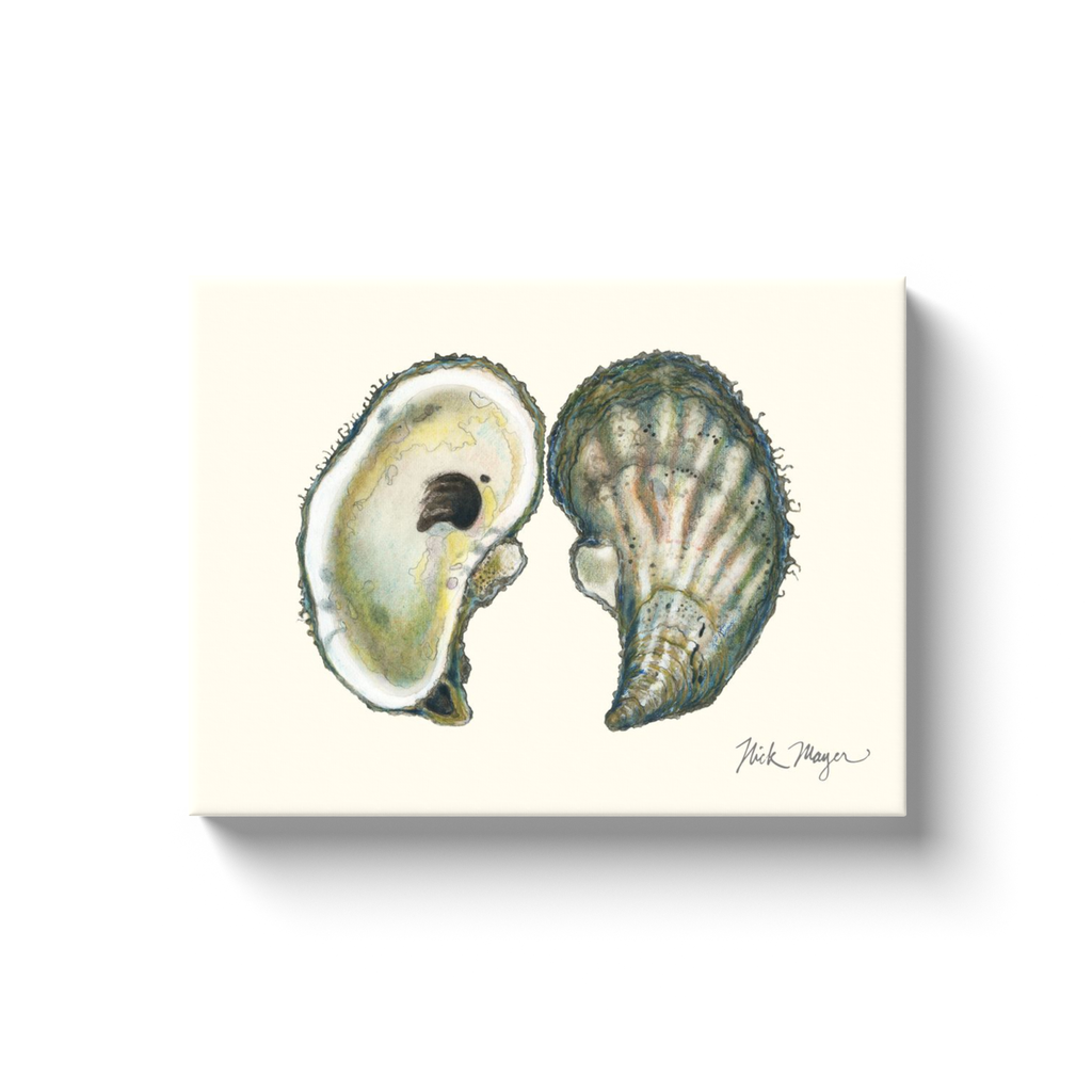 NEW! Atlantic Oyster I Canvas Wrap