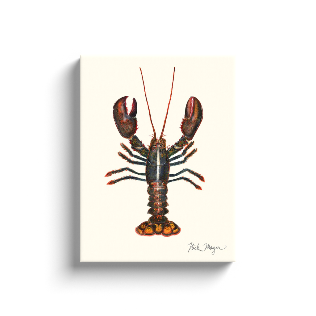 NEW! Northern Lobster I Canvas Wrap