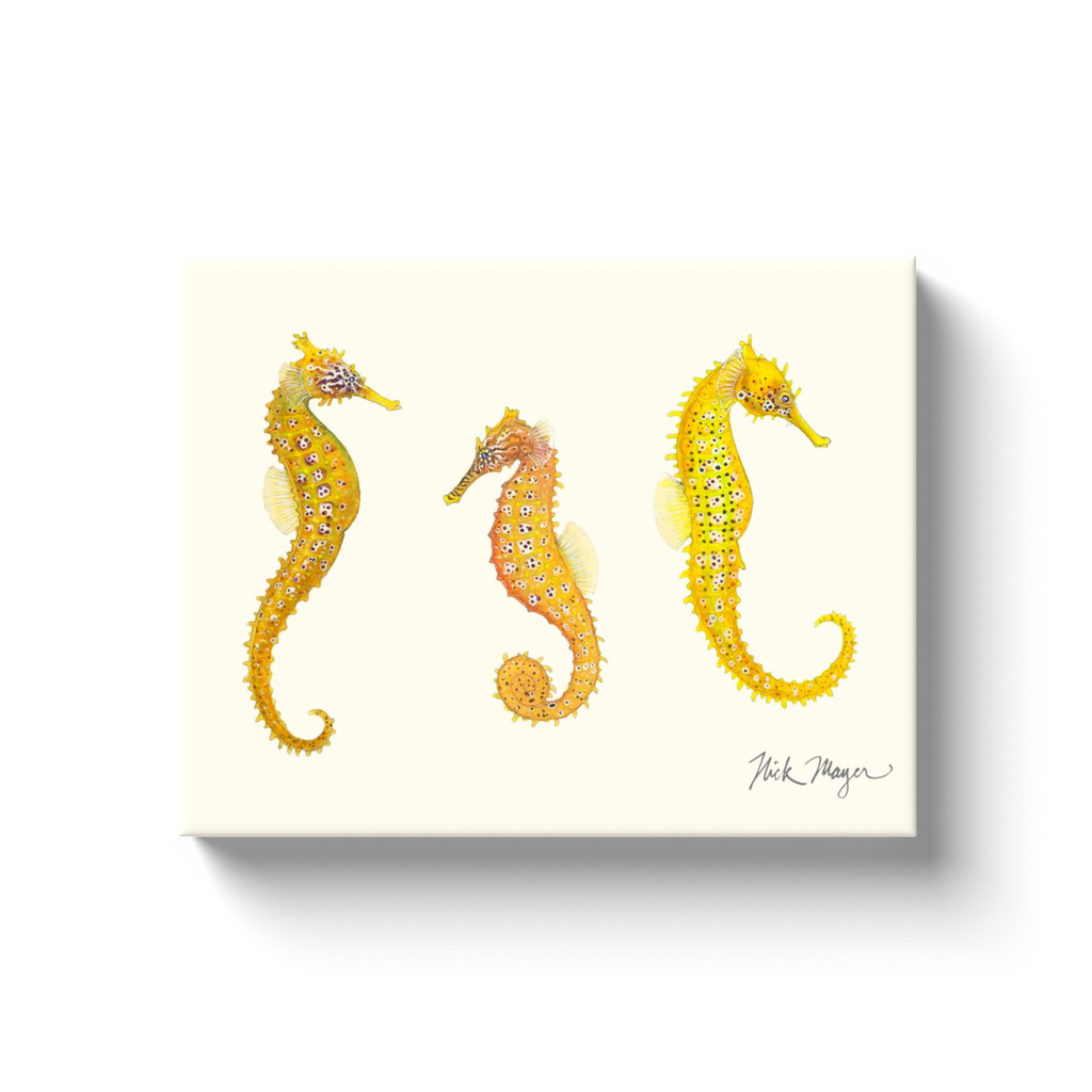 NEW! Giant Seahorse Trio Canvas Wrap