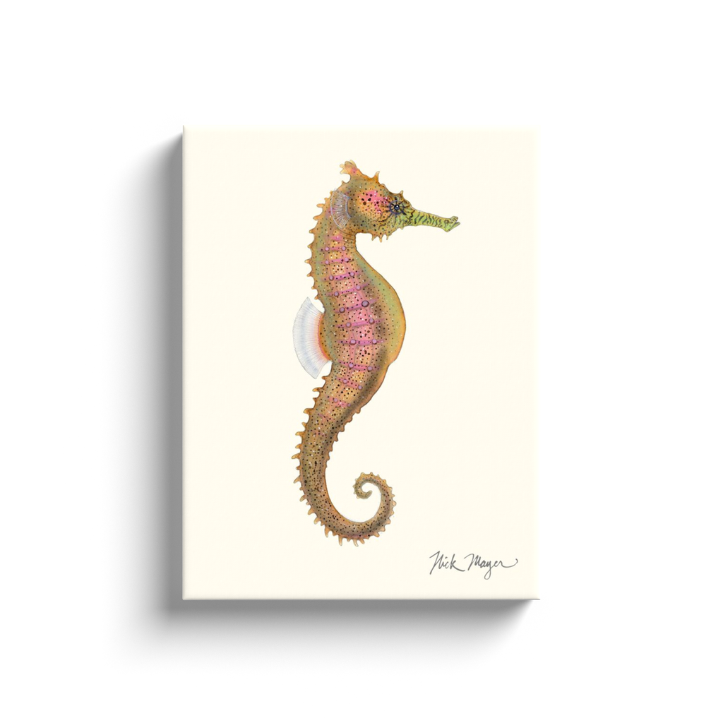 NEW! Estuary Seahorse Canvas Wrap