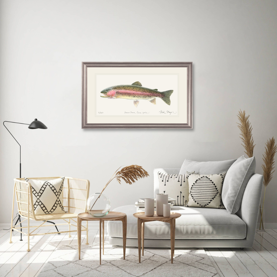 Rainbow Trout Limited Edition Print - Best Seller