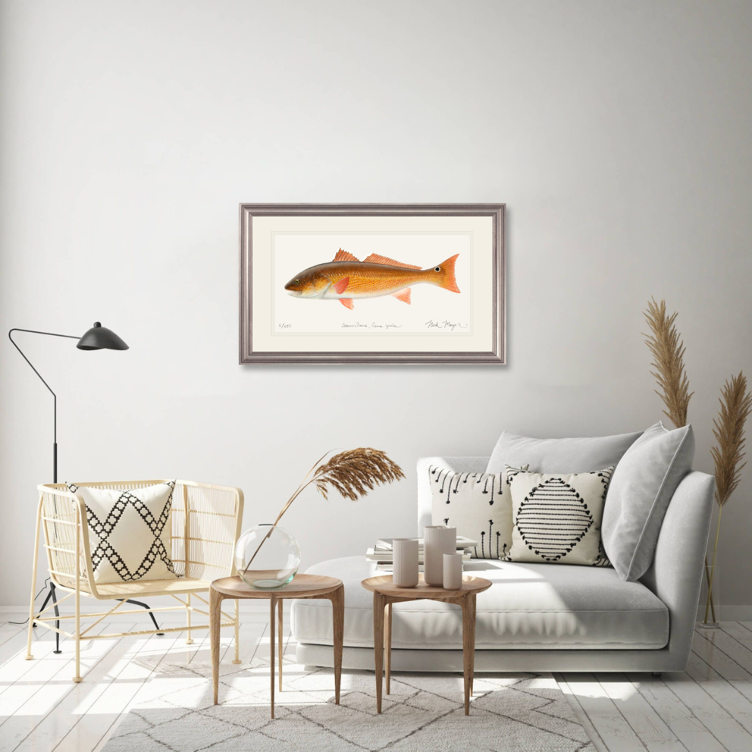 Redfish, 15 lbs. Limited Edition Print