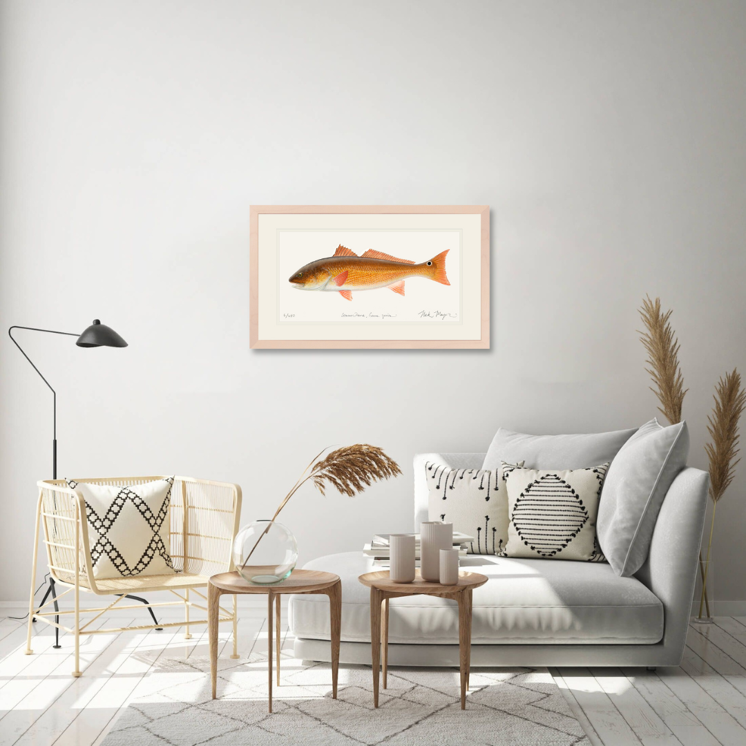 Redfish, 15 lbs. Limited Edition Print