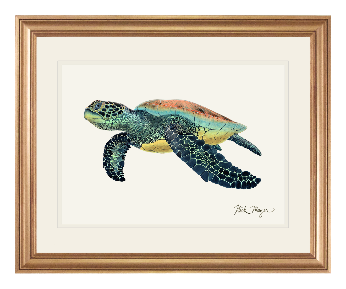 Green Sea Turtle II Print - NEW