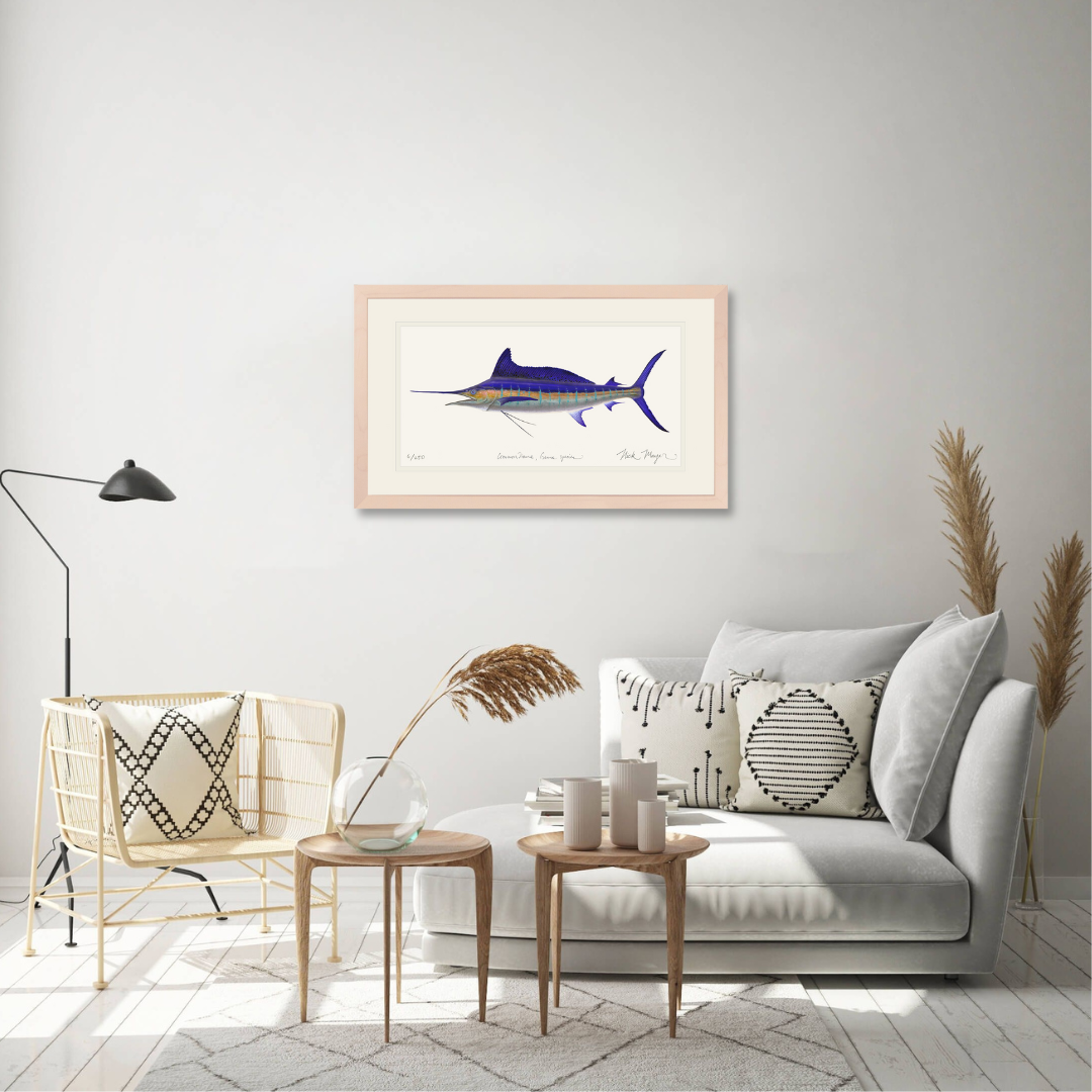 Striped Marlin Limited Edition Print