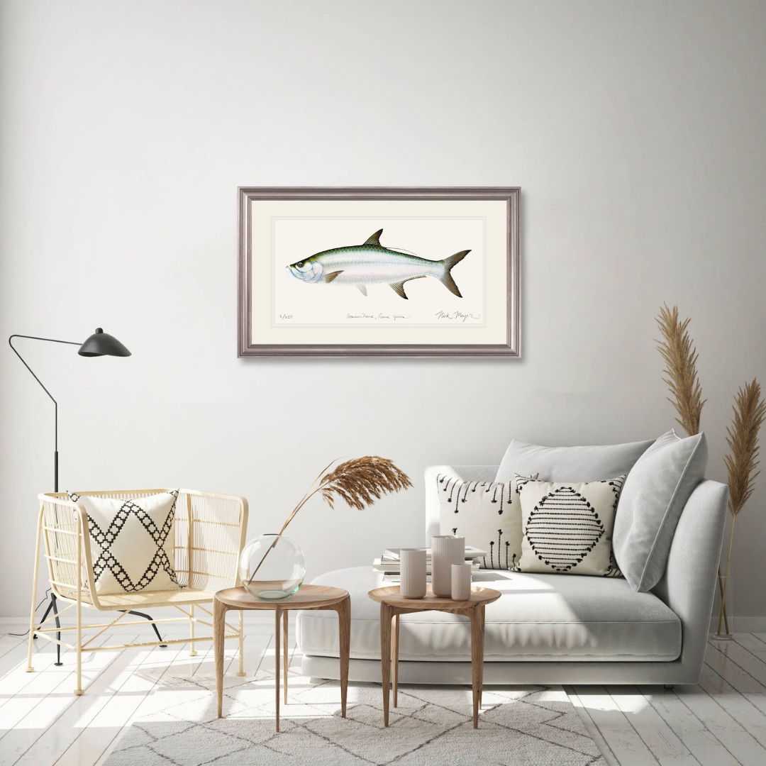 Tarpon Limited Edition Print - Best Seller