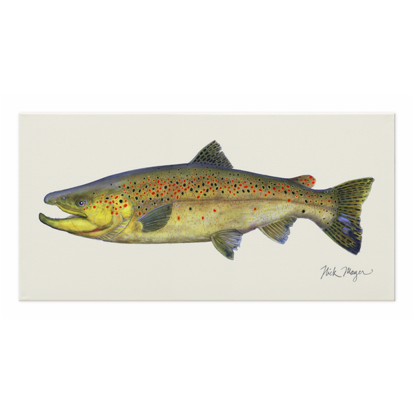 Brown Trout Fishing Lure by Patent77 - Wrapped Canvas Graphic Art - Yahoo  Shopping