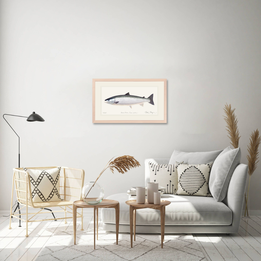 Wild Atlantic Salmon Limited Edition Print