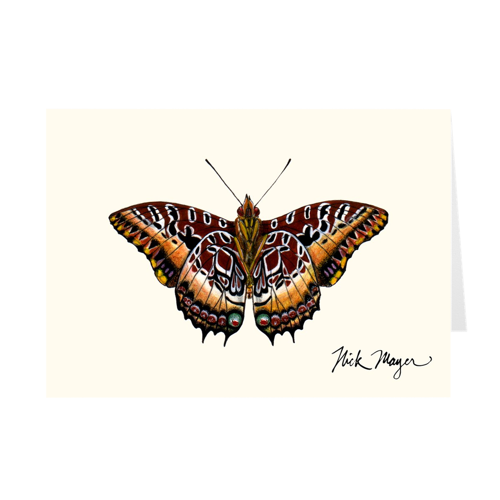 Black Bordered Charaxes Notecards