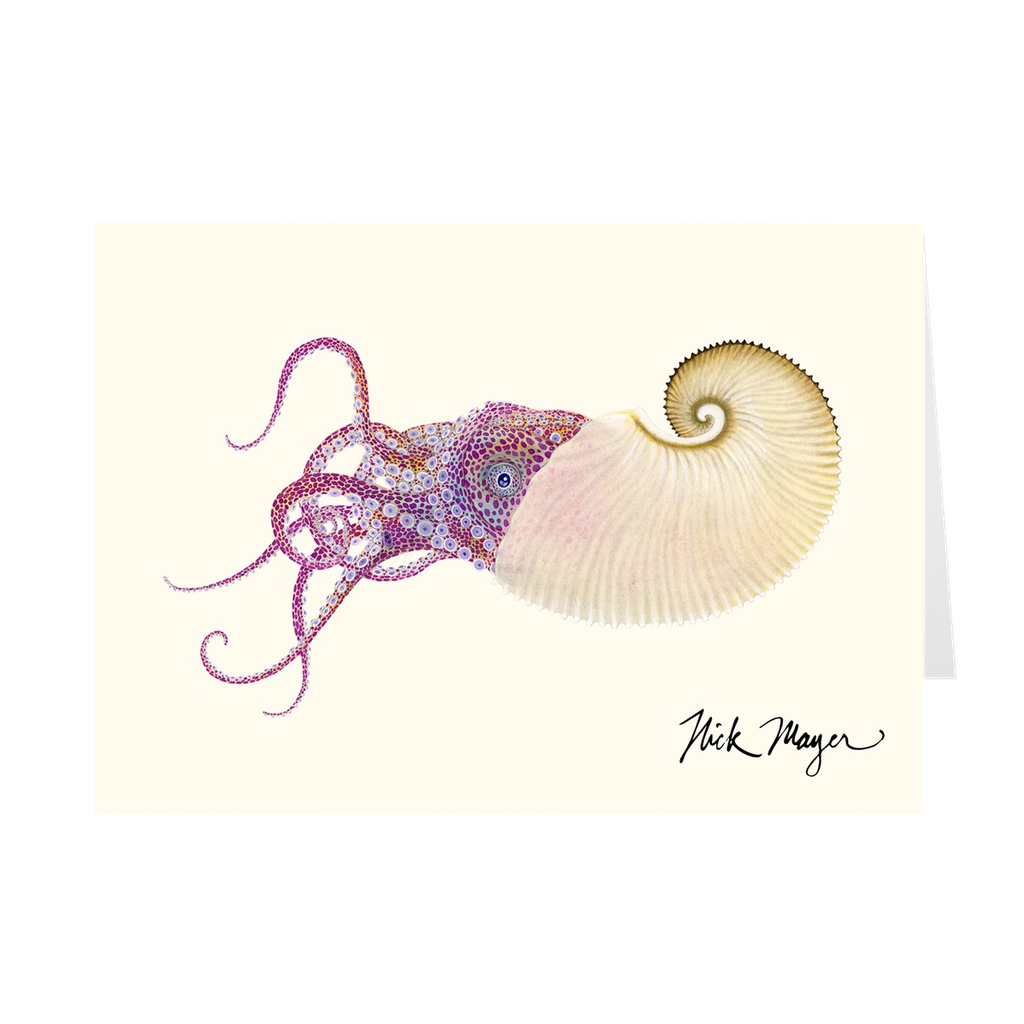 Paper Nautilus Notecards