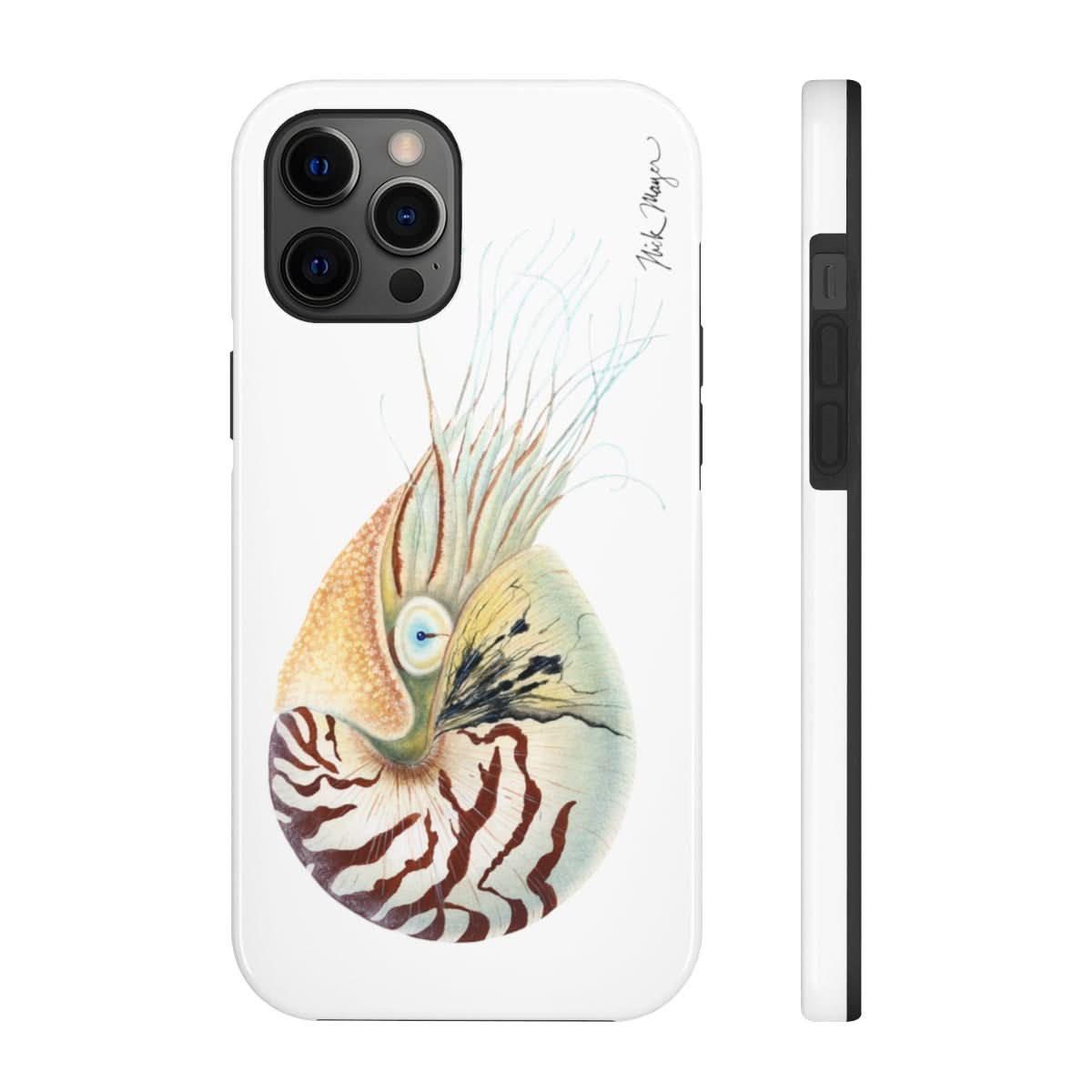 Chambered Nautilus Phone Case (iPhone)