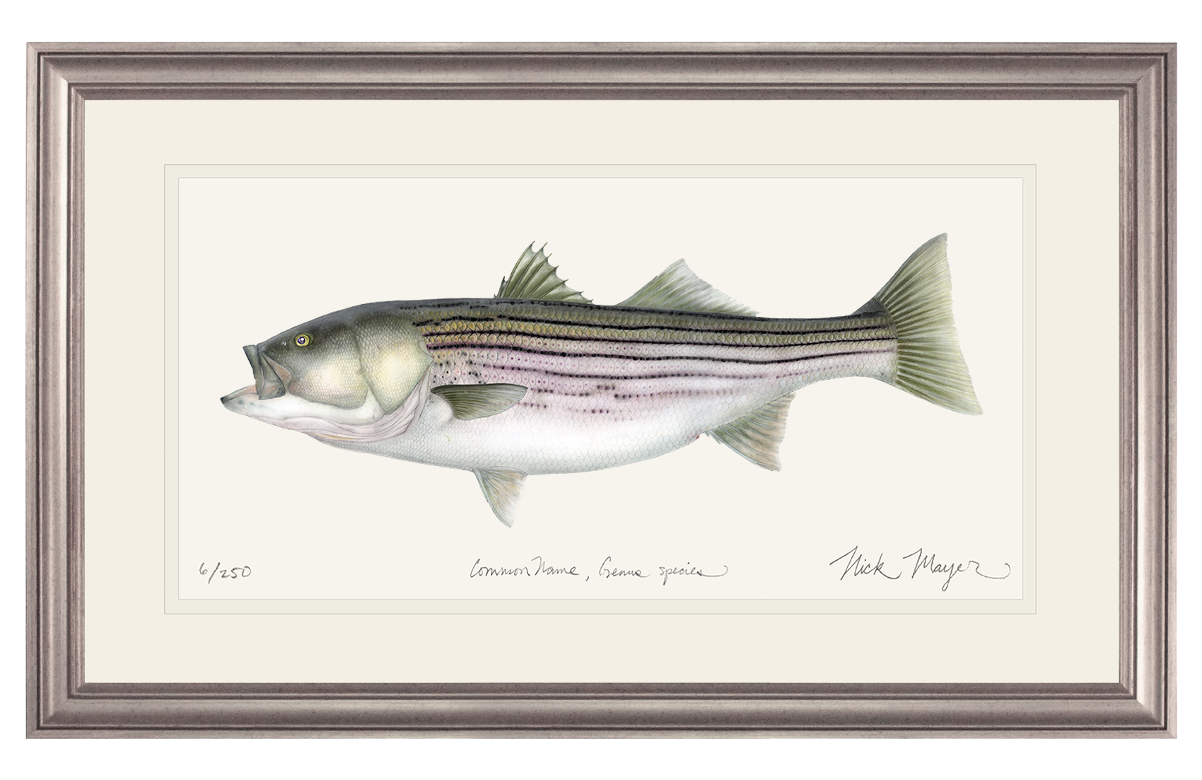 Stripers Wall Art for Sale