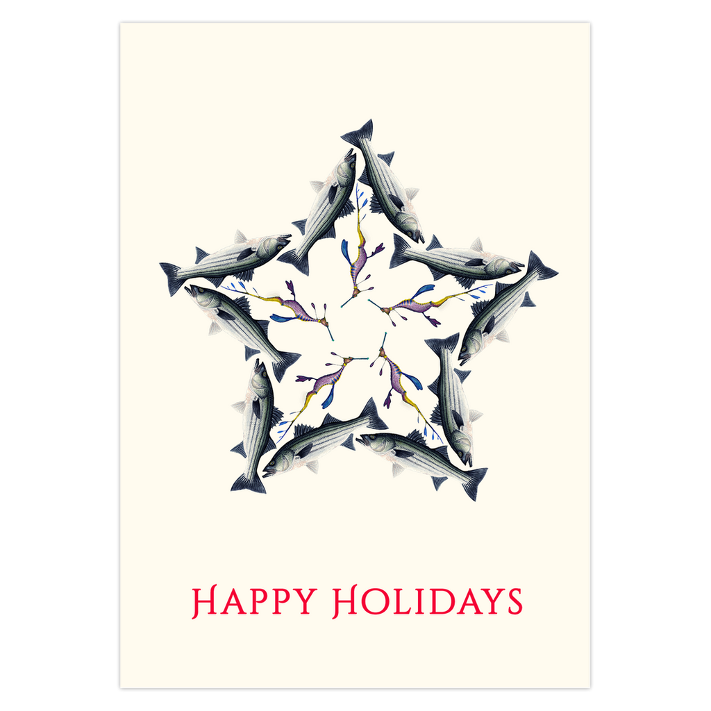 Striper North Star Holiday Cards