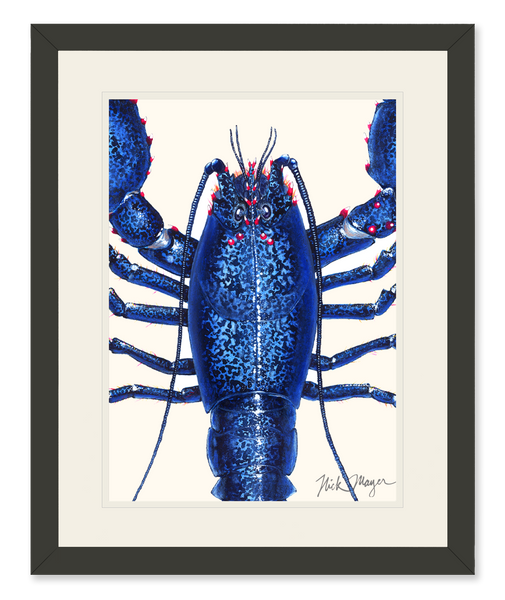 ARTCANVAS Navy Blue Lobster Rare Crayfish The Ocean Freshwater Canvas hot Art Print 26