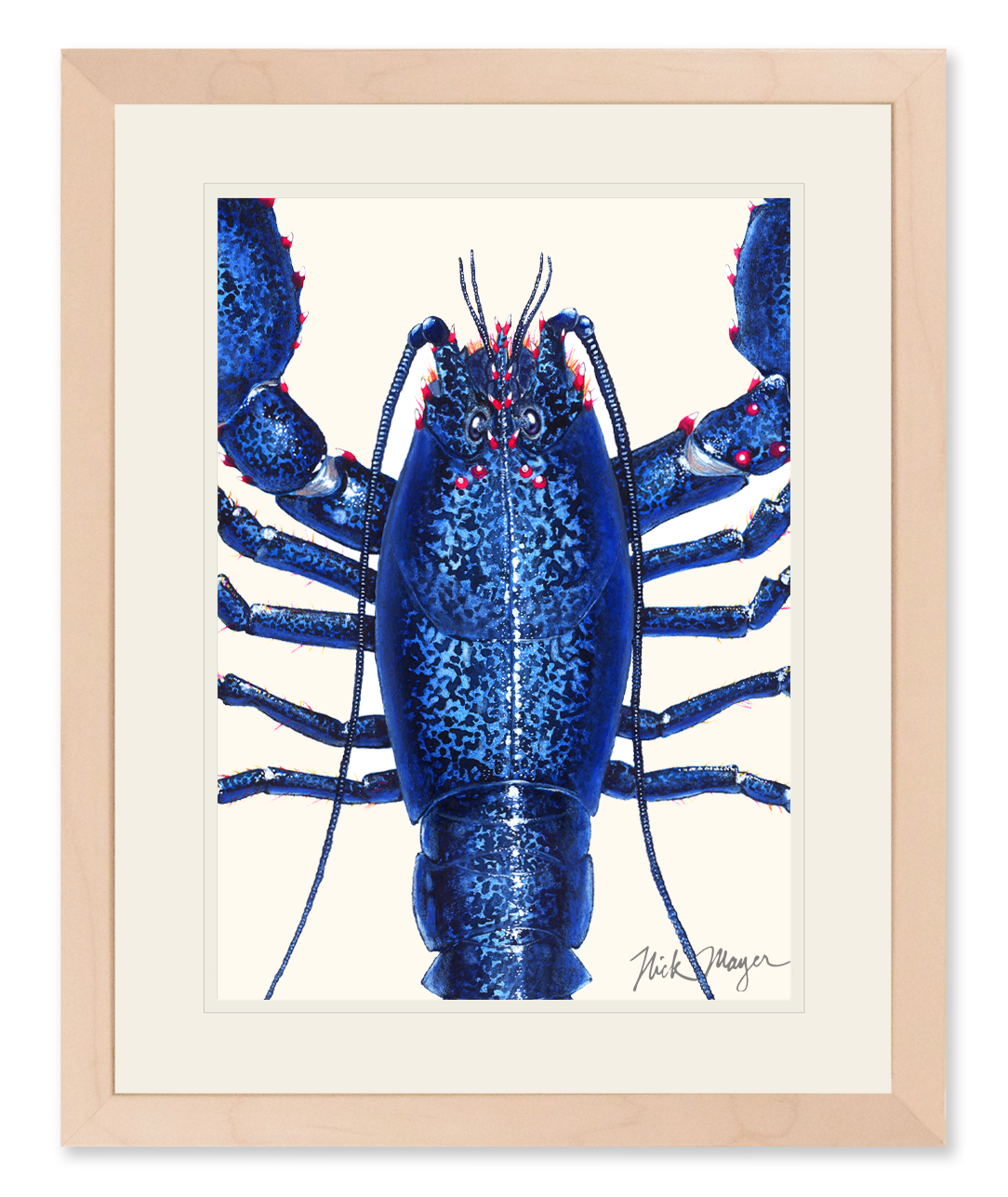 Blue Lobster Closeup Limited Edition Print