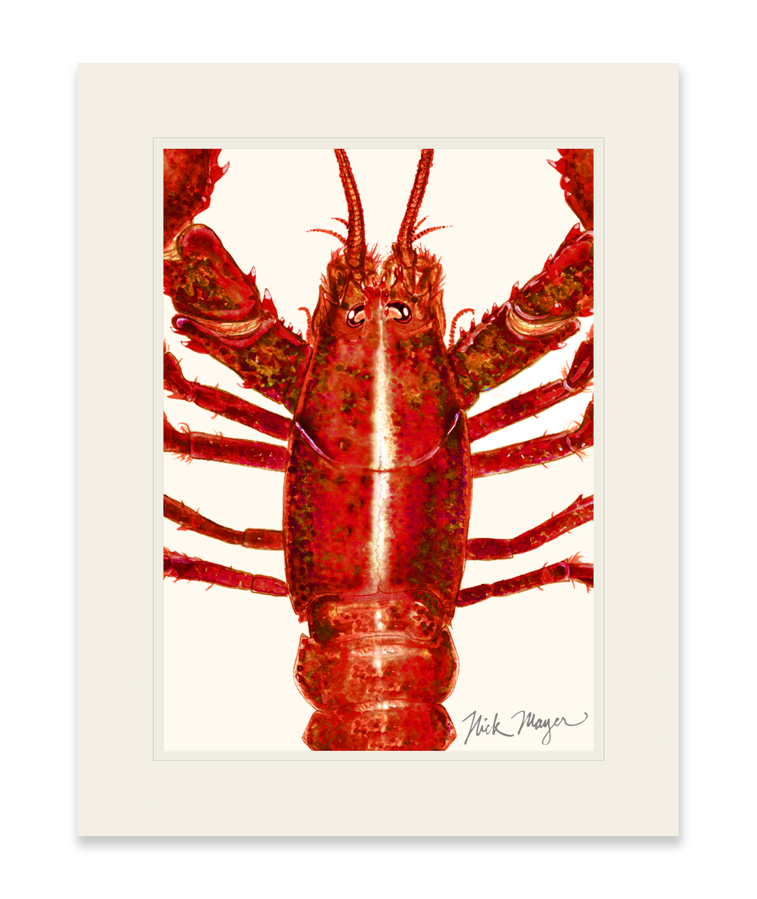 Red Lobster Closeup Limited Edition Print