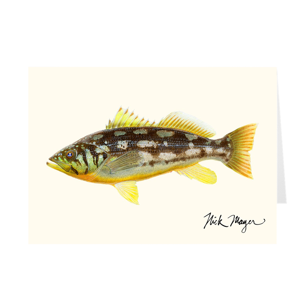 Calico Bass I Notecards