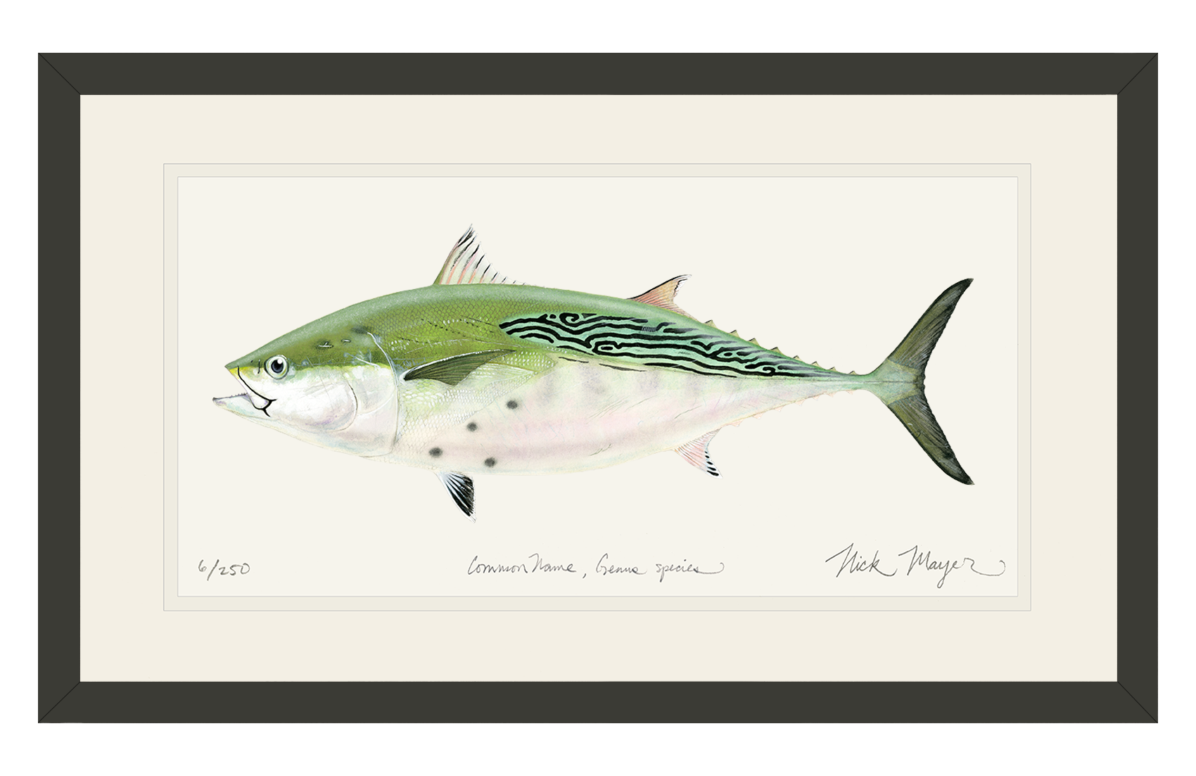 False Albacore IV Limited Edition Print - Best Seller