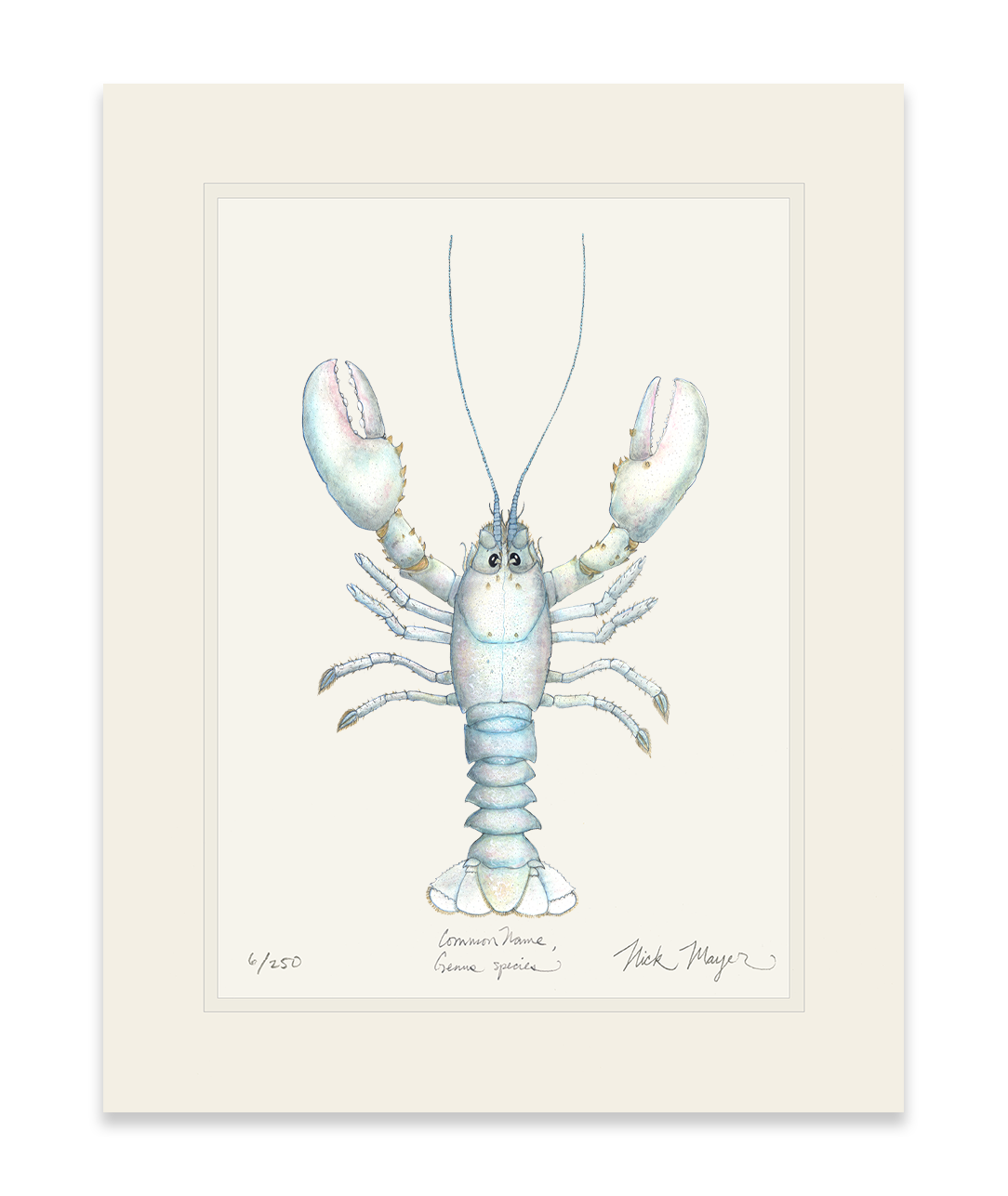 Albino Lobster Limited Edition Print