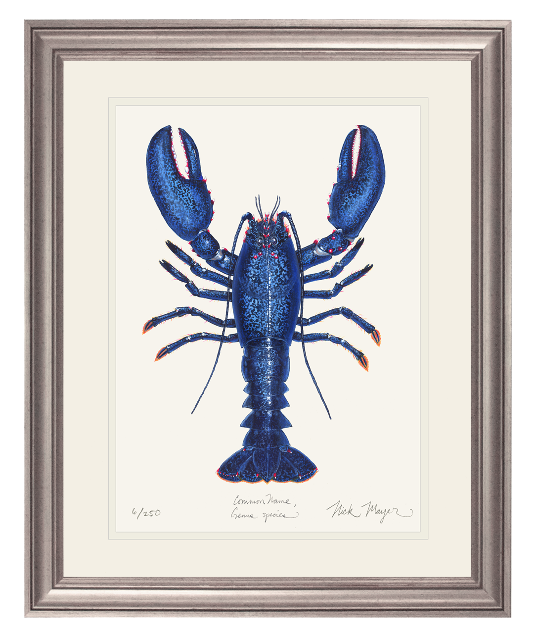 Blue Lobster II Limited Edition Print - Best Seller