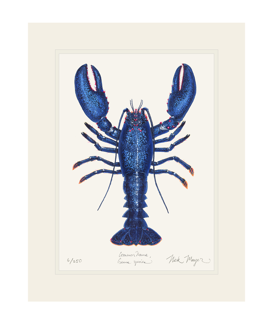 Blue Lobster II Limited Edition Print - Best Seller