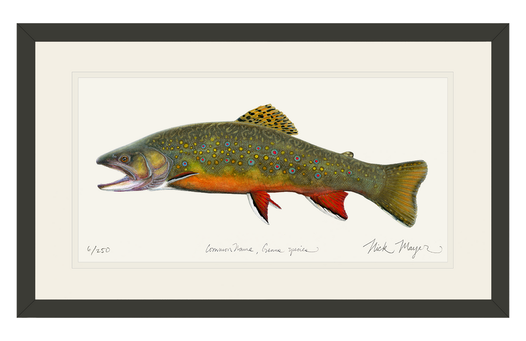 Brook Trout: A Natural Work of Art
