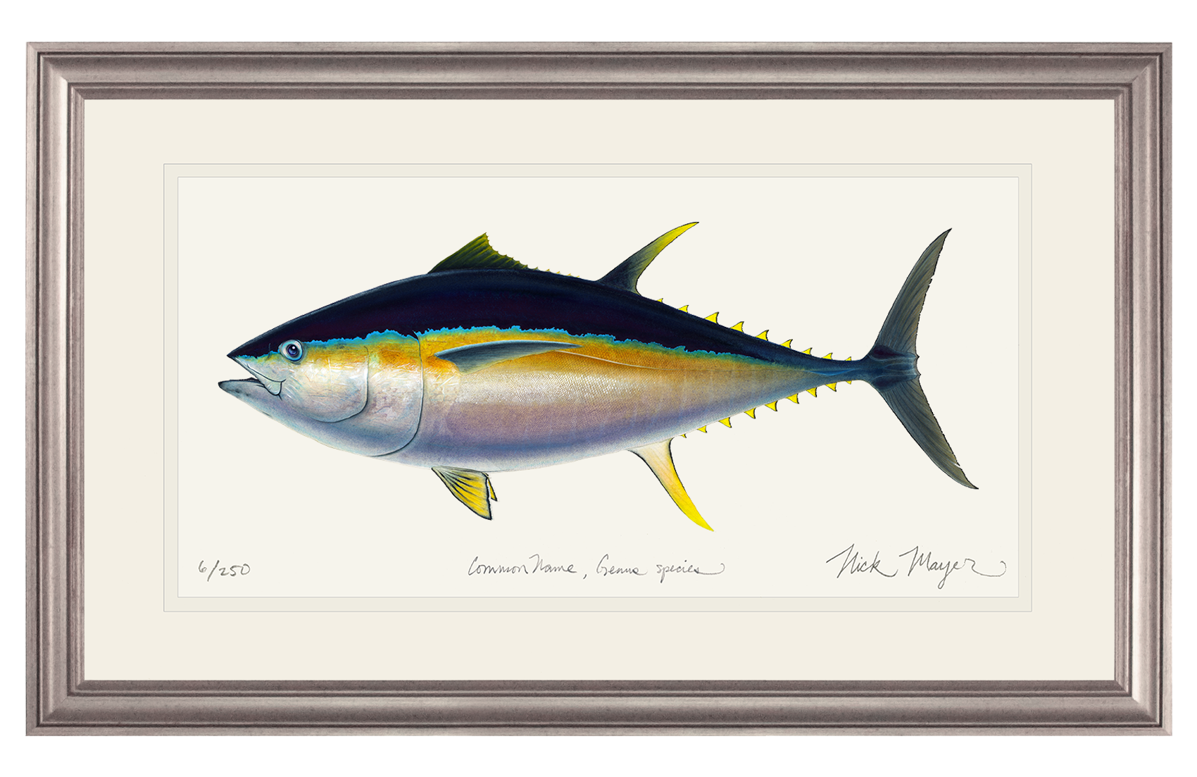 Bigeye Tuna Limited Edition Print