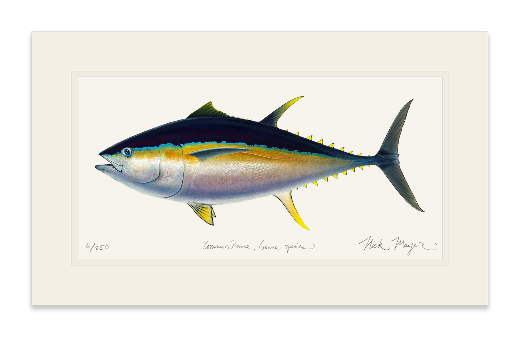 Bigeye Tuna Limited Edition Print