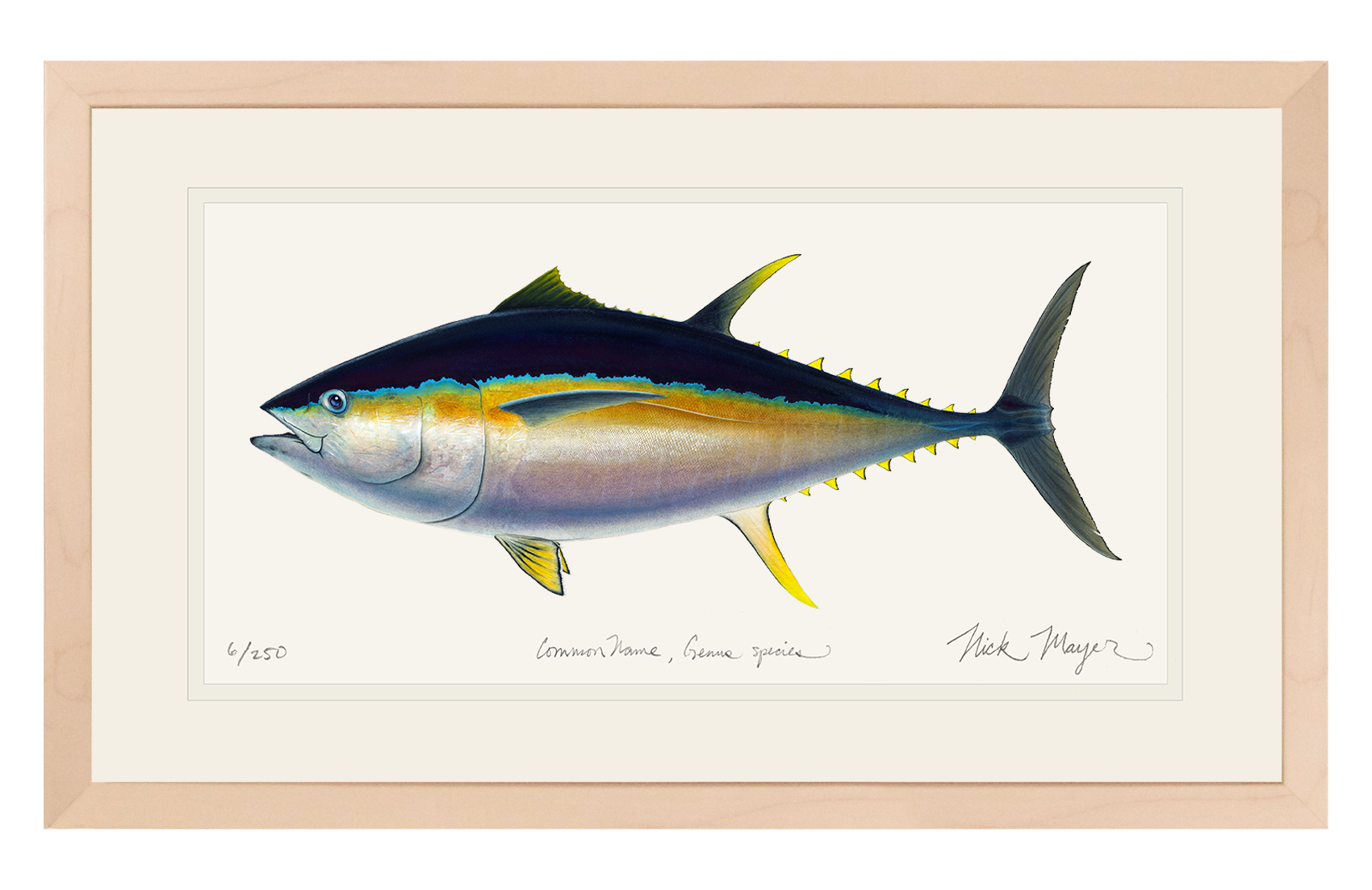 Bigeye Tuna Limited Edition Print