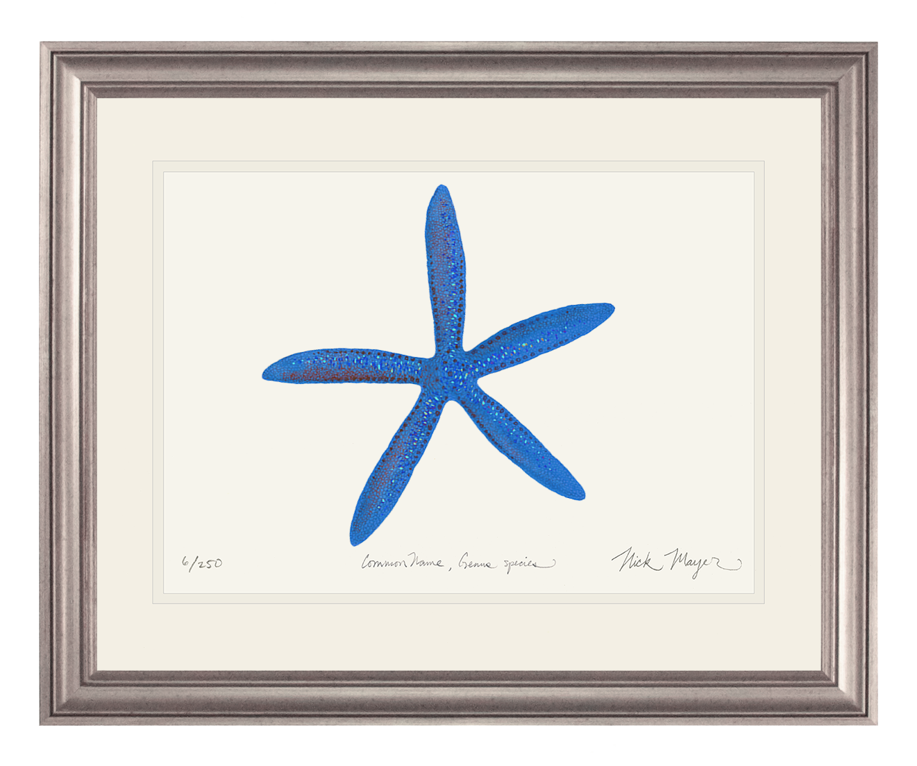 Blue Linckia I Starfish Limited Edition Print