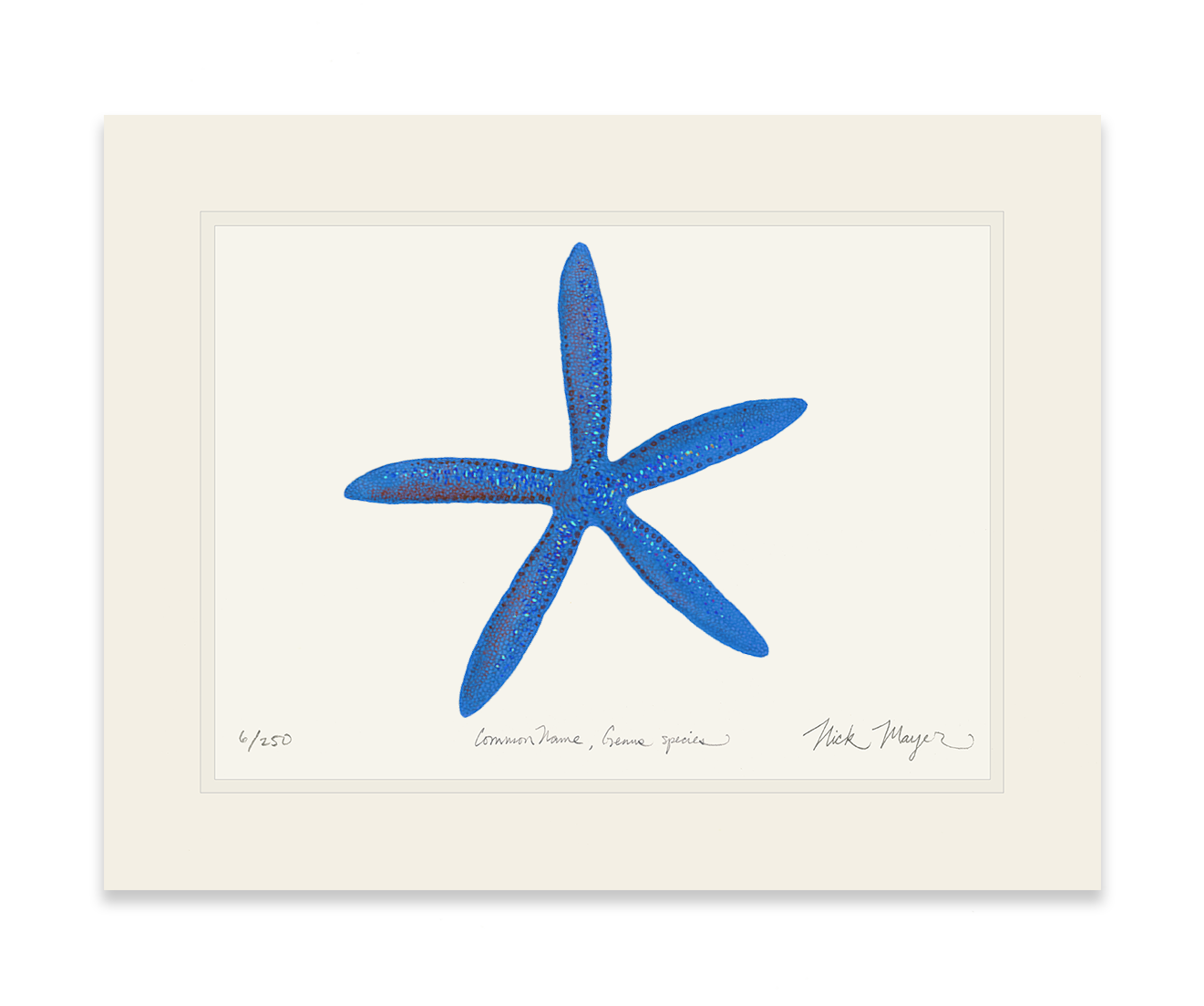 Blue Linckia I Starfish Limited Edition Print