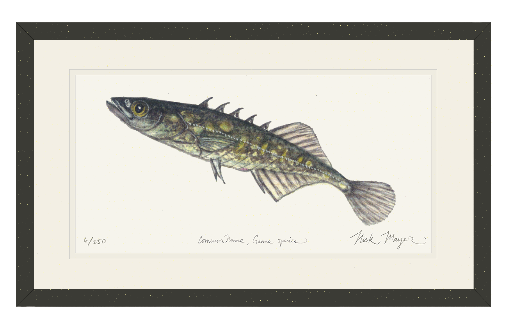 Brook Stickleback Limited Edition Print