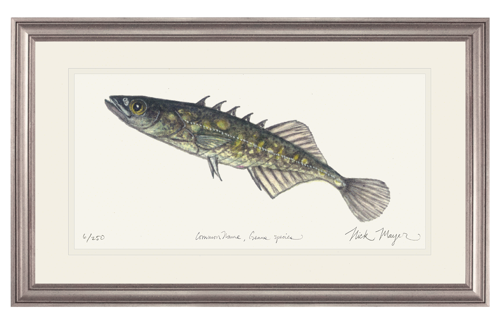 Brook Stickleback Limited Edition Print